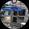 delfinesypesca