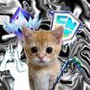 ikercraft81