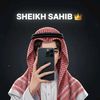 muhammadzainshaikhshb