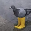 gojoyujinobaramegumi