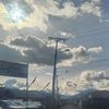 jellyberry_06