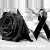 lorena.perez211