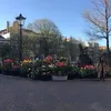 chasethelight7