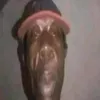 soueuyunk