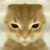 atamamo2