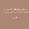 user6541129071051