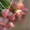 itssophia272