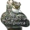 pepito.pro35