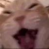 felixsimon52