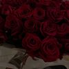 alshaaryy