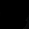 yrzz_moon