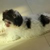 sammy_7.51
