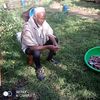 nural.kalil