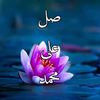user5047870561322