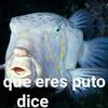 luisr3293
