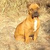 01_angelhdzcastillo_10_