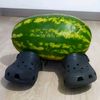el_53231