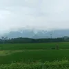 lyhoang5231