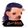 nocherro.bot