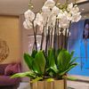 landscapingcompany9909