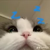 thunganhd912015