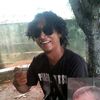 WARCE 666
