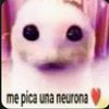 refacs132