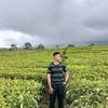 naufa_ll34