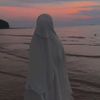 lia_hsb1