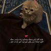 استغفر الله العظيم واتوب اليه