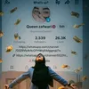queenzafwarl0