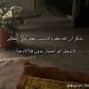 nisrin.salih