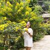 phng.thy4915
