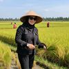 Penyuluh Pangan👩‍🌾🌾