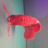 user3301626135881