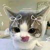 anishayyy_stha9749