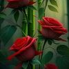 user5887861417056