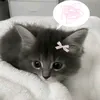 yezide_d