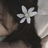 sweetly_syaa2