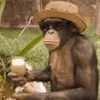 mariano_el_banano