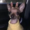 sidan.kettlewerga