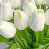 annny7894