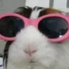 ey_dude_idk