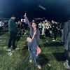 vinesditapera01