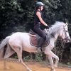 kloey_equestrian
