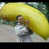 lopyou008