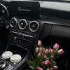 saa_19994