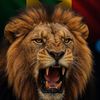 amadoukorkabarr702.com0