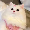 ailytieuvan_222