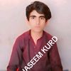 naseem.kurd.yt